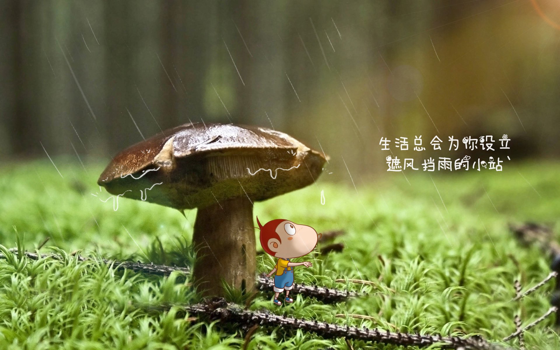 挖掘机操作证有用吗（挖掘机操作证就是驾驶证吗）